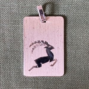 VTG I ROWi I STG I Capricorn I Goat I Pendant